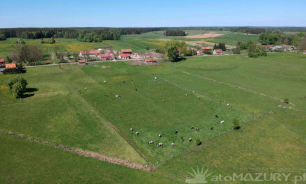 Gant – Galeria Zdjęć