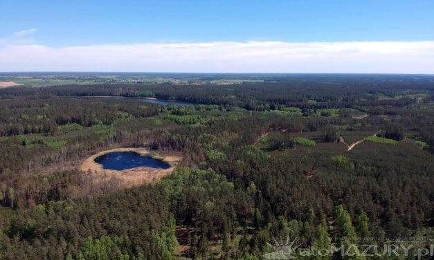 Puszcza Piska – największy kompleks leśny na Mazurach