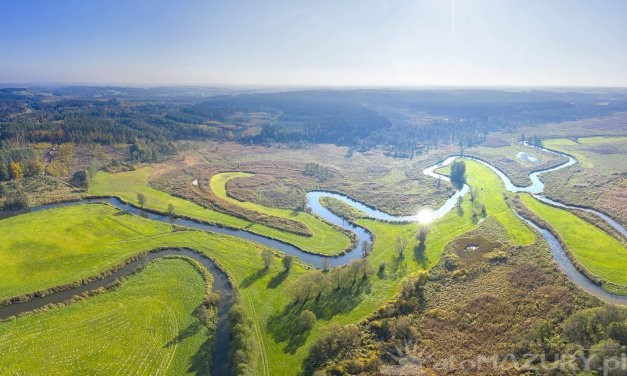 Rezerwat przyrody Rzeka Drwęca