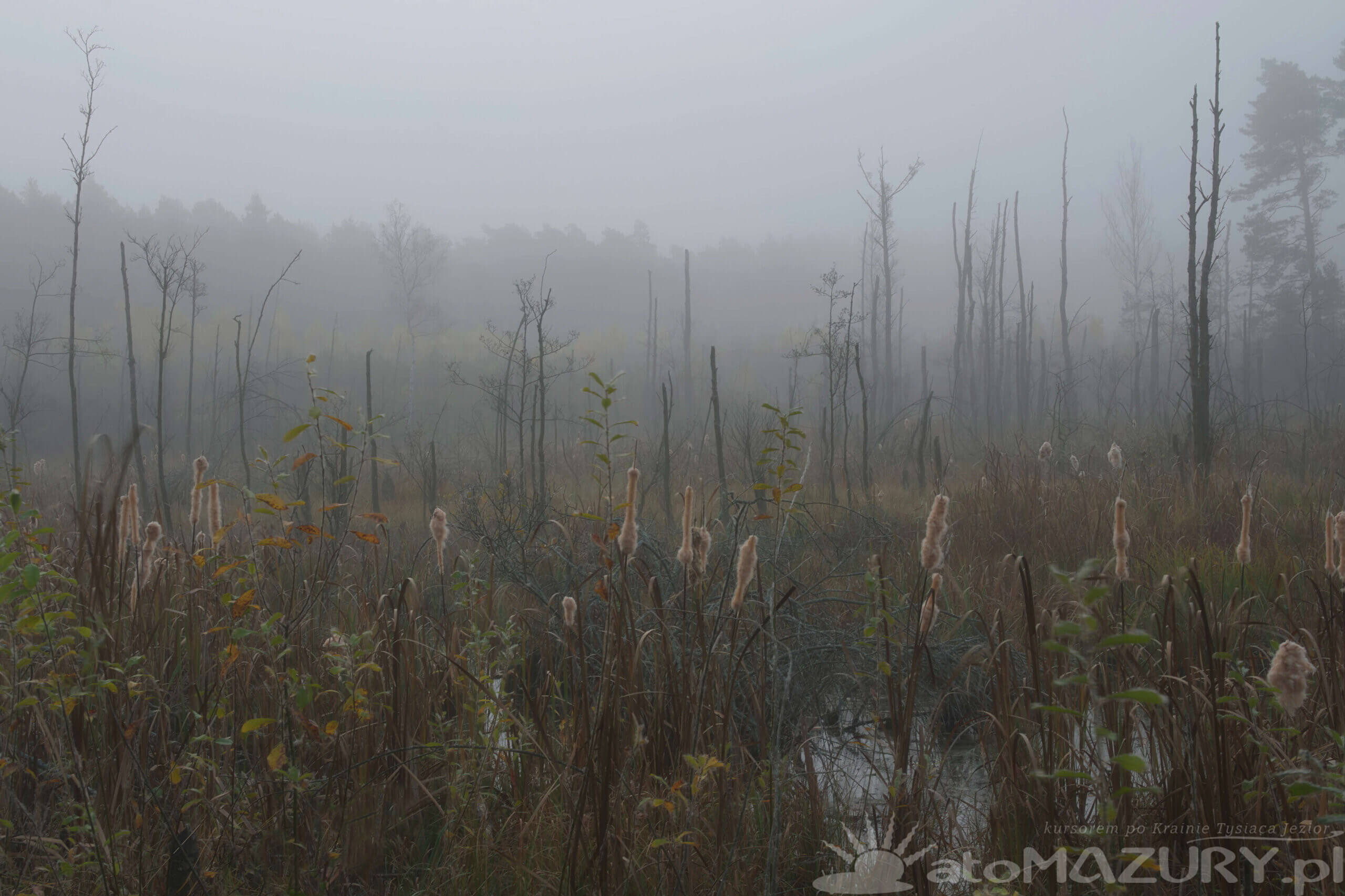 Rezerwat przyrody mazury 1 scaled