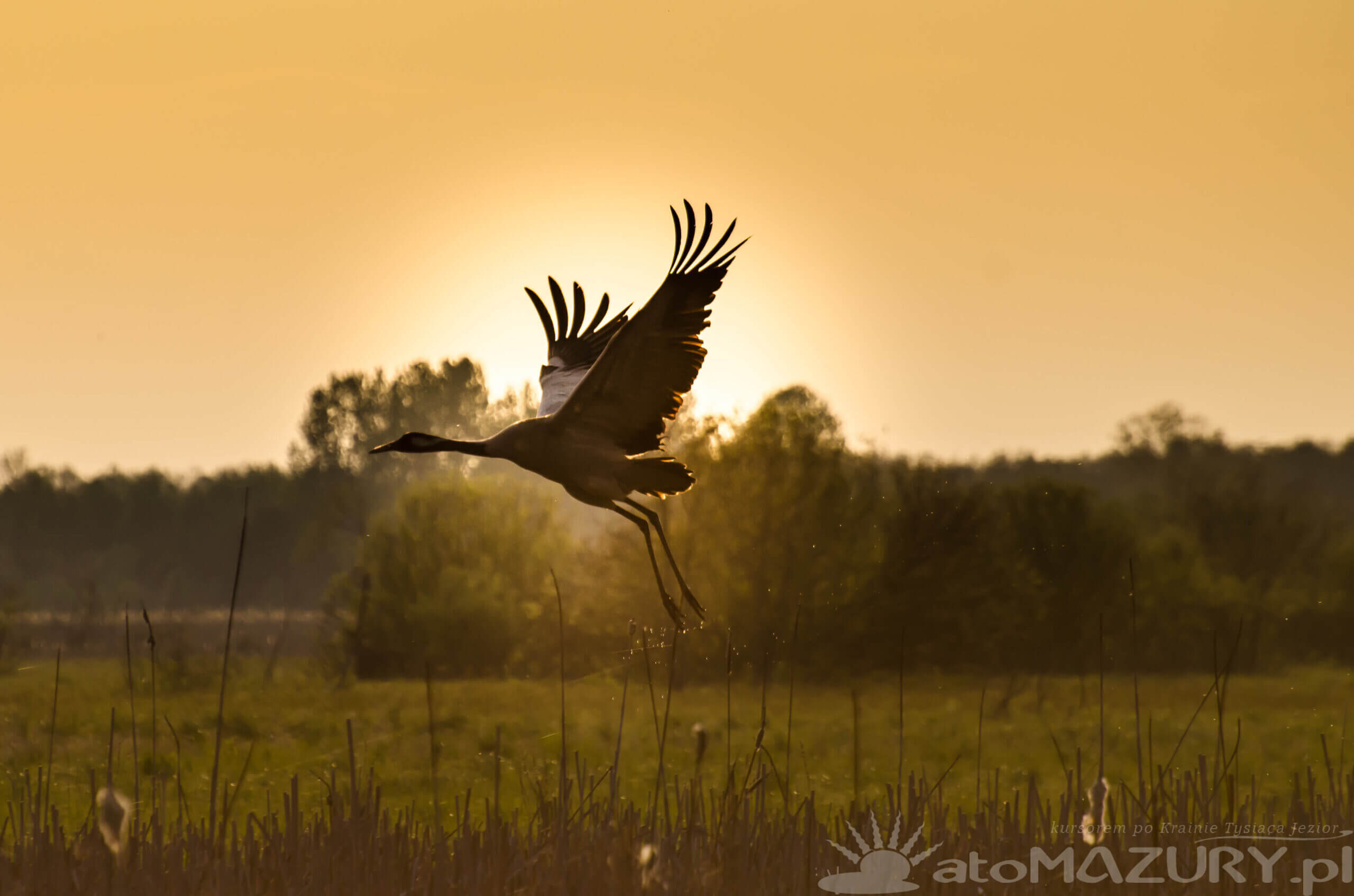 Rezerwat przyrody mazury 2 scaled