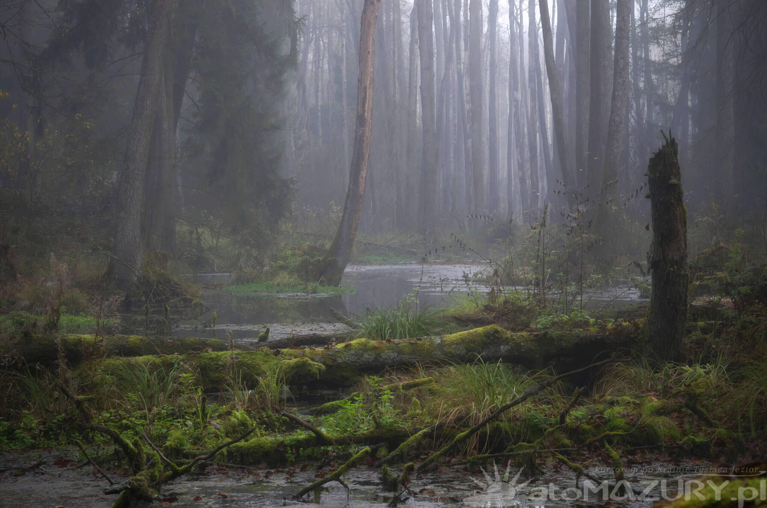 Rezerwat przyrody mazury 3 scaled