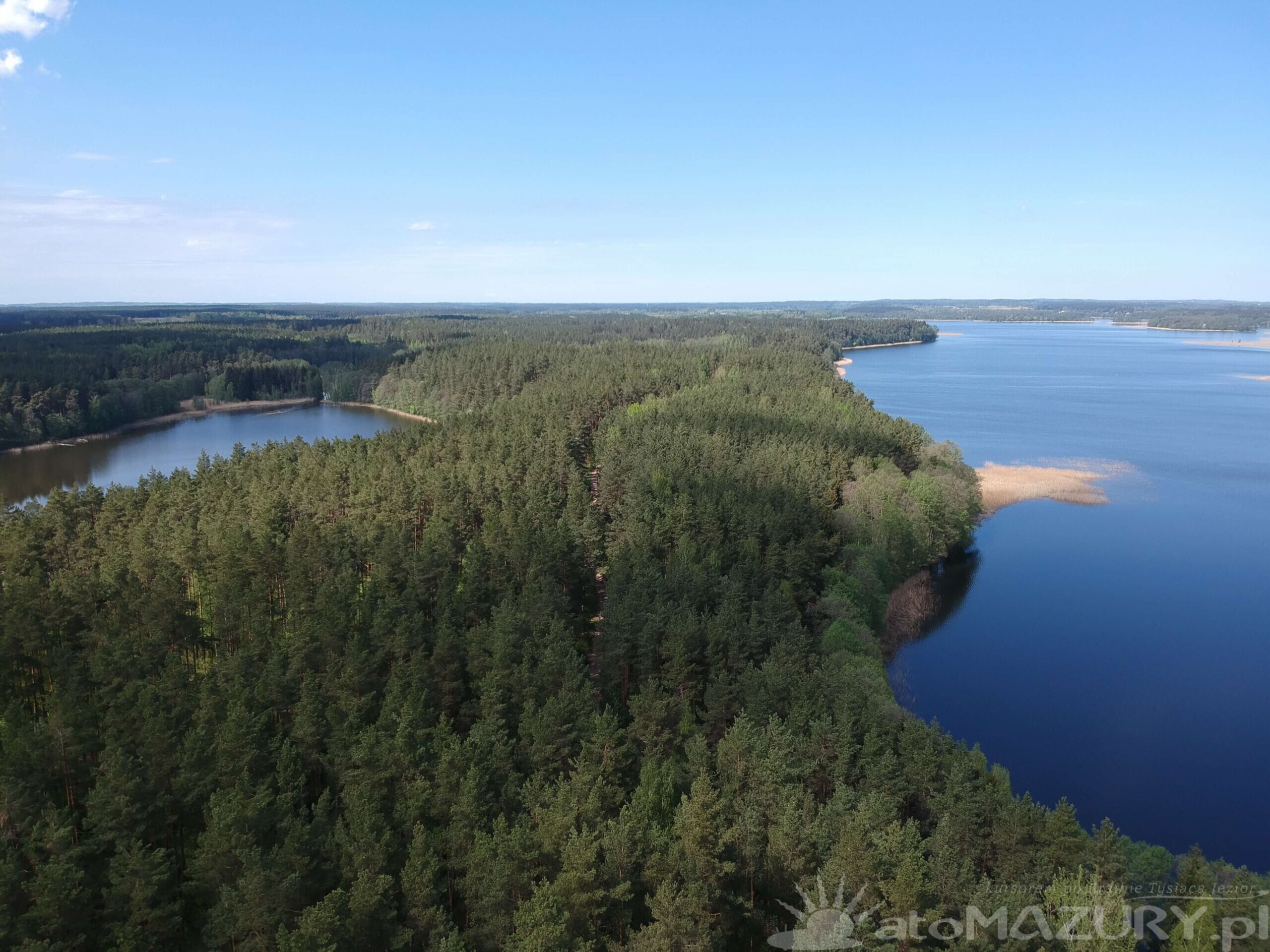Mazury hostoria opis scaled