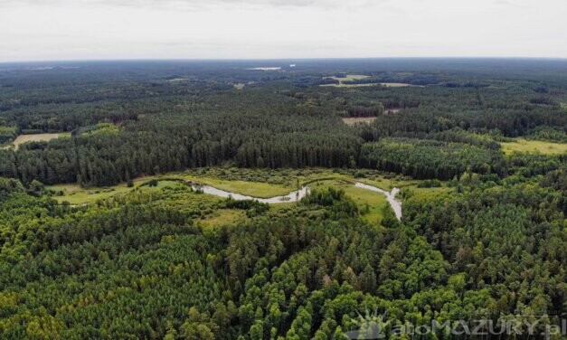 Spływ kajakowy rzeką Babant