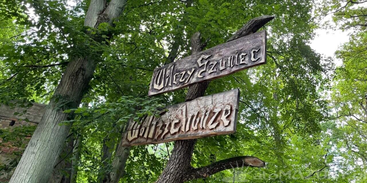 Wilczy Szaniec – Galeria Zdjęć 2021