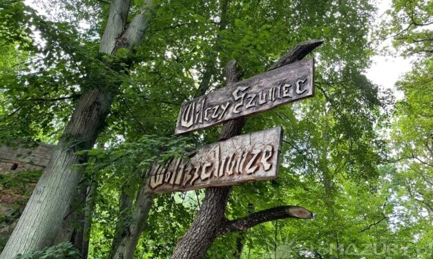 Wilczy Szaniec – Galeria Zdjęć 2021