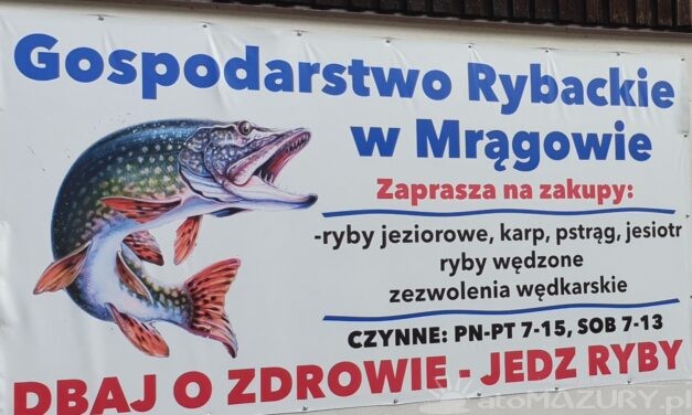 Odkryj świeże smaki z Gospodarstwa Rybackiego w Mrągowie!