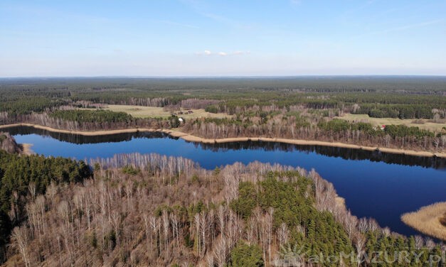 Jezioro Piasutno (Piasutno Duże) – Przyrodniczy Klejnot Warmii i Mazur