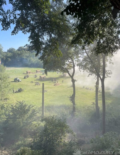 OPERACJA BOYEN W GIZYCKU 25