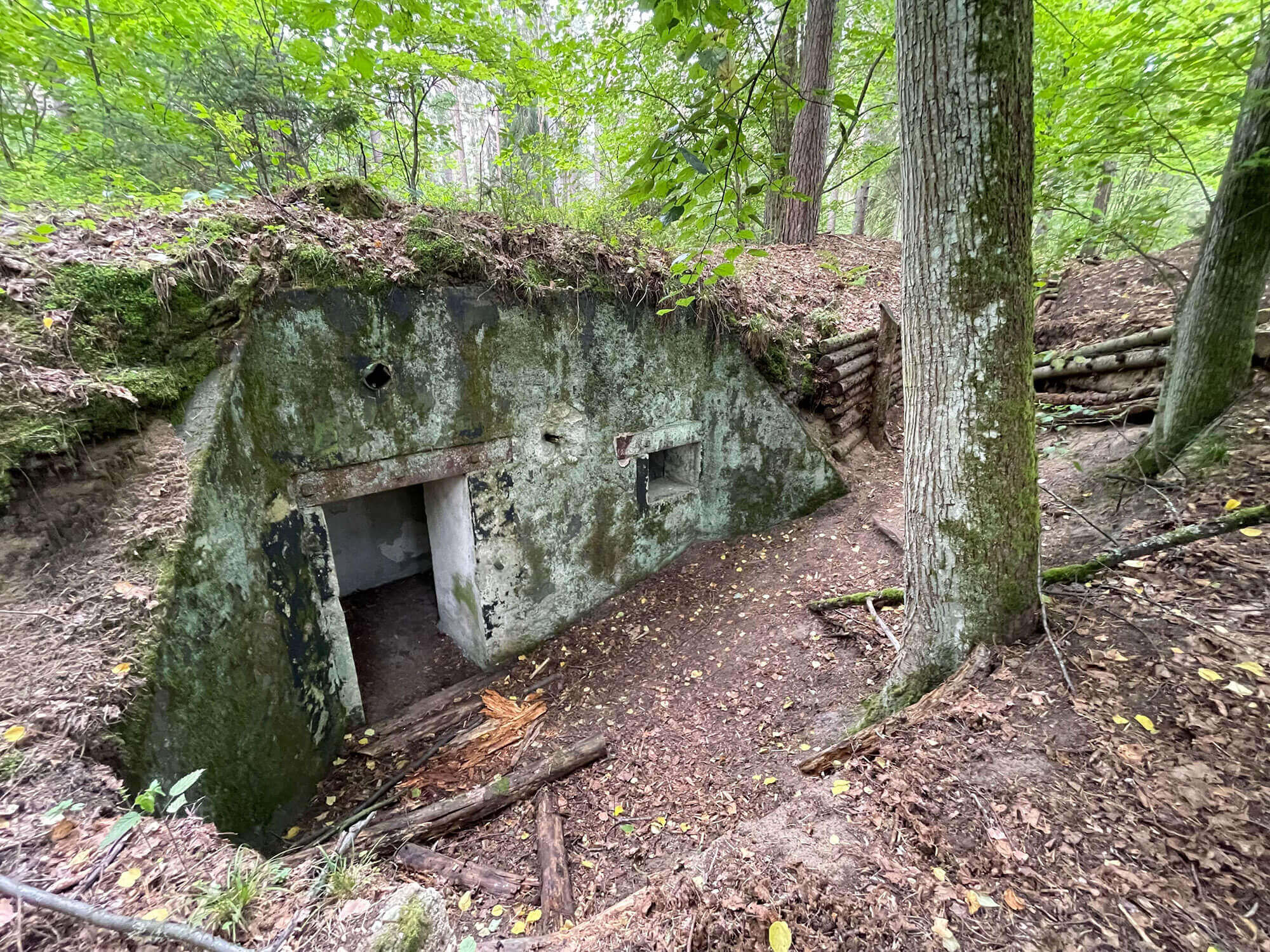 SZLAK PIESZY FORTYFIKACJI SZCZYCIENSKIEJ POZYCJI LESNEJ 6