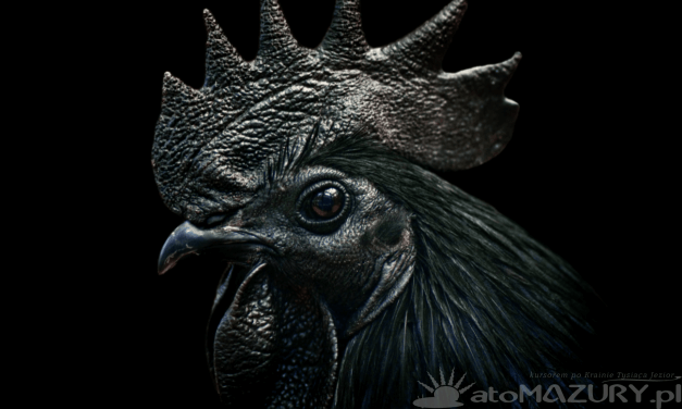 Mazurski Kłobuk – Diabeł, który rozpieszczał lub mścił się na ludziach