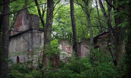 Najbardziej tajemnicza wyspa na jeziorze Dobskim