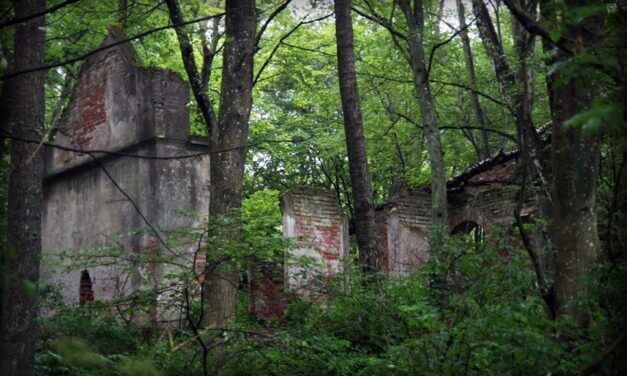 Najbardziej tajemnicza wyspa na jeziorze Dobskim