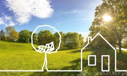 Wycinka Drzew na Własnej Działce 2024: Zasady i Wyjątki na Warmii i Mazurach