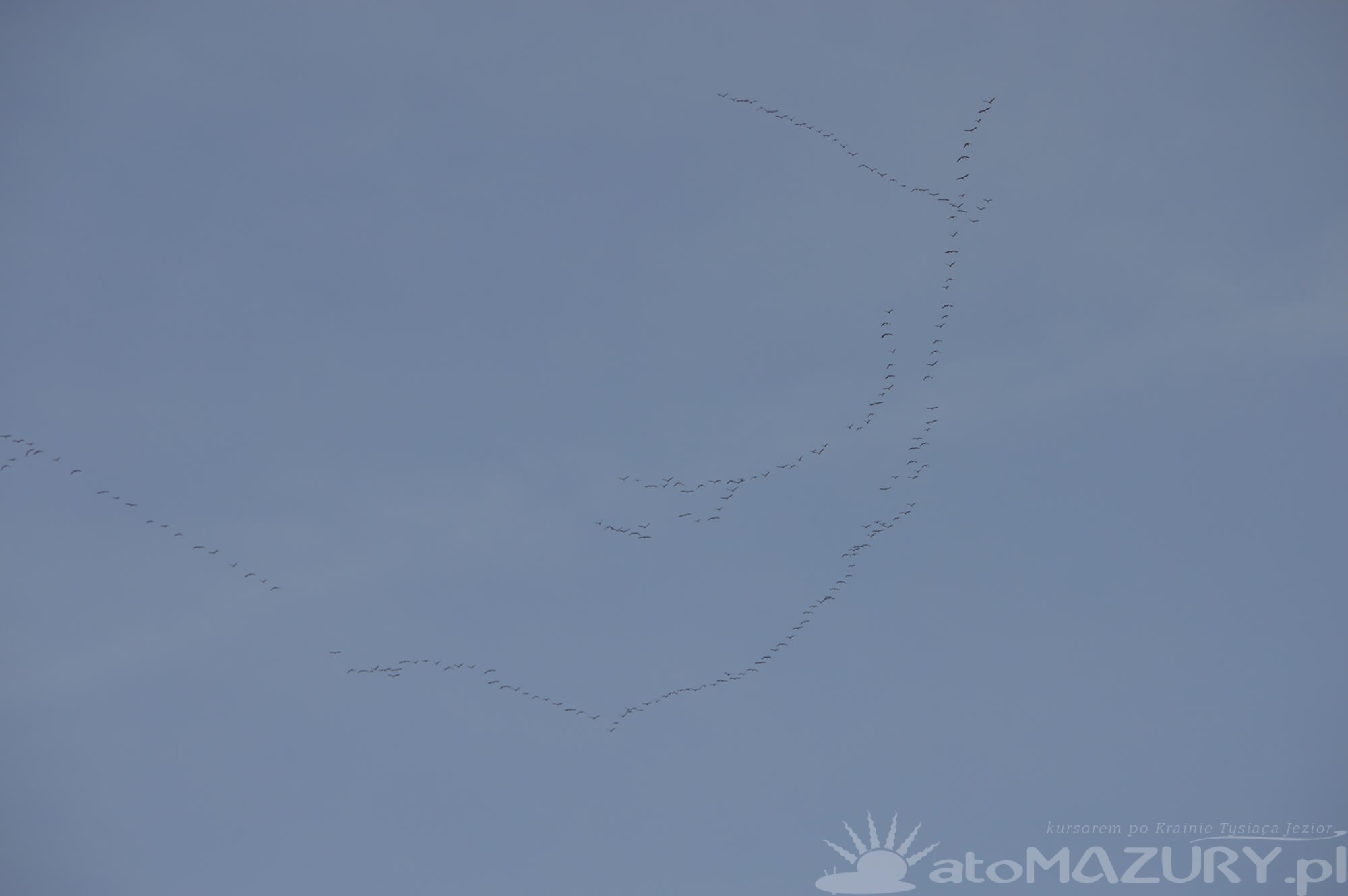 wiosna2024 atomazury 1