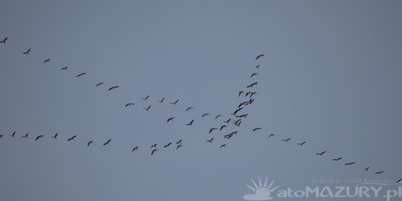Pierwsze oznaki wiosny na Mazurach