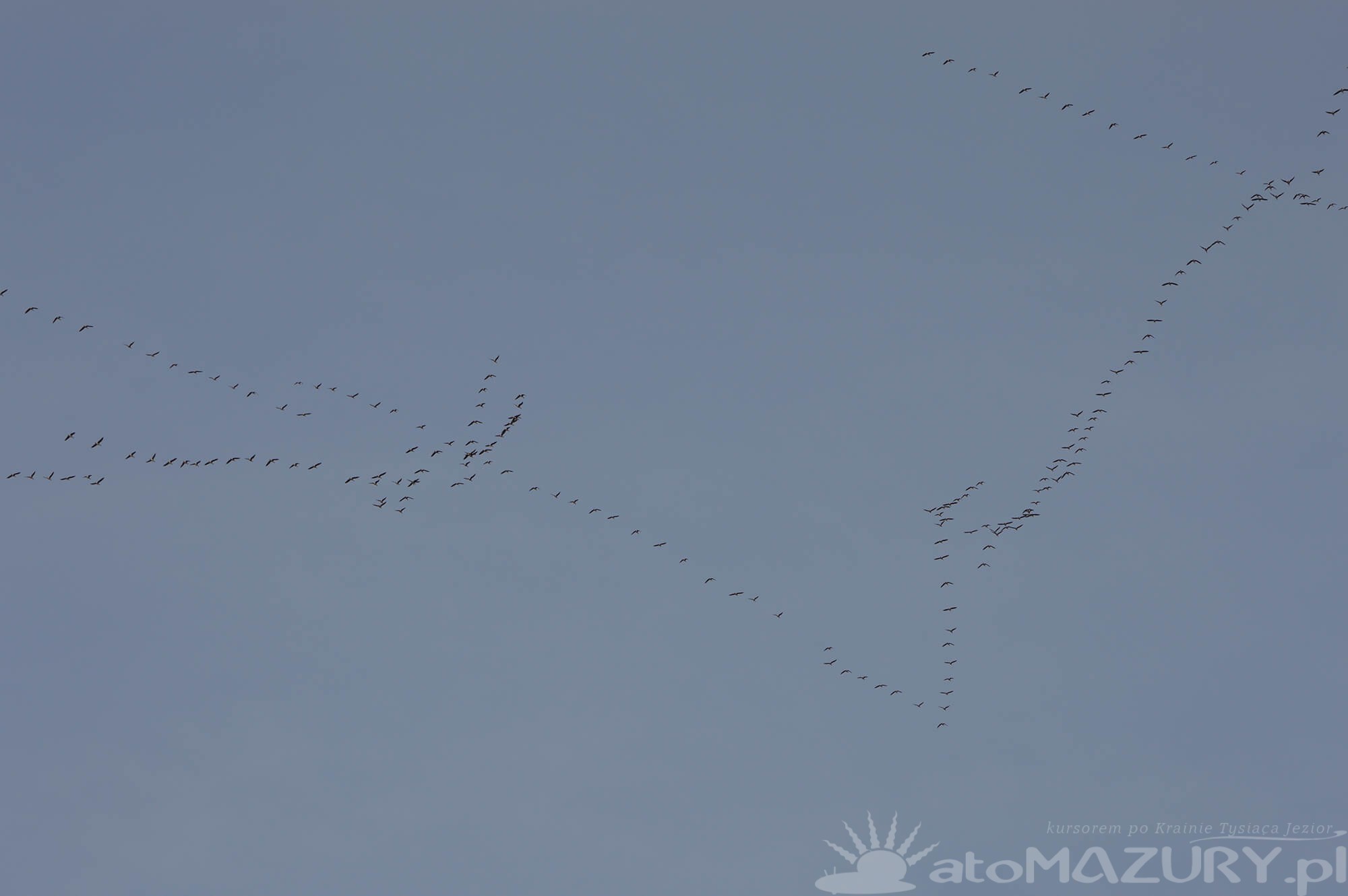 wiosna2024 atomazury 3