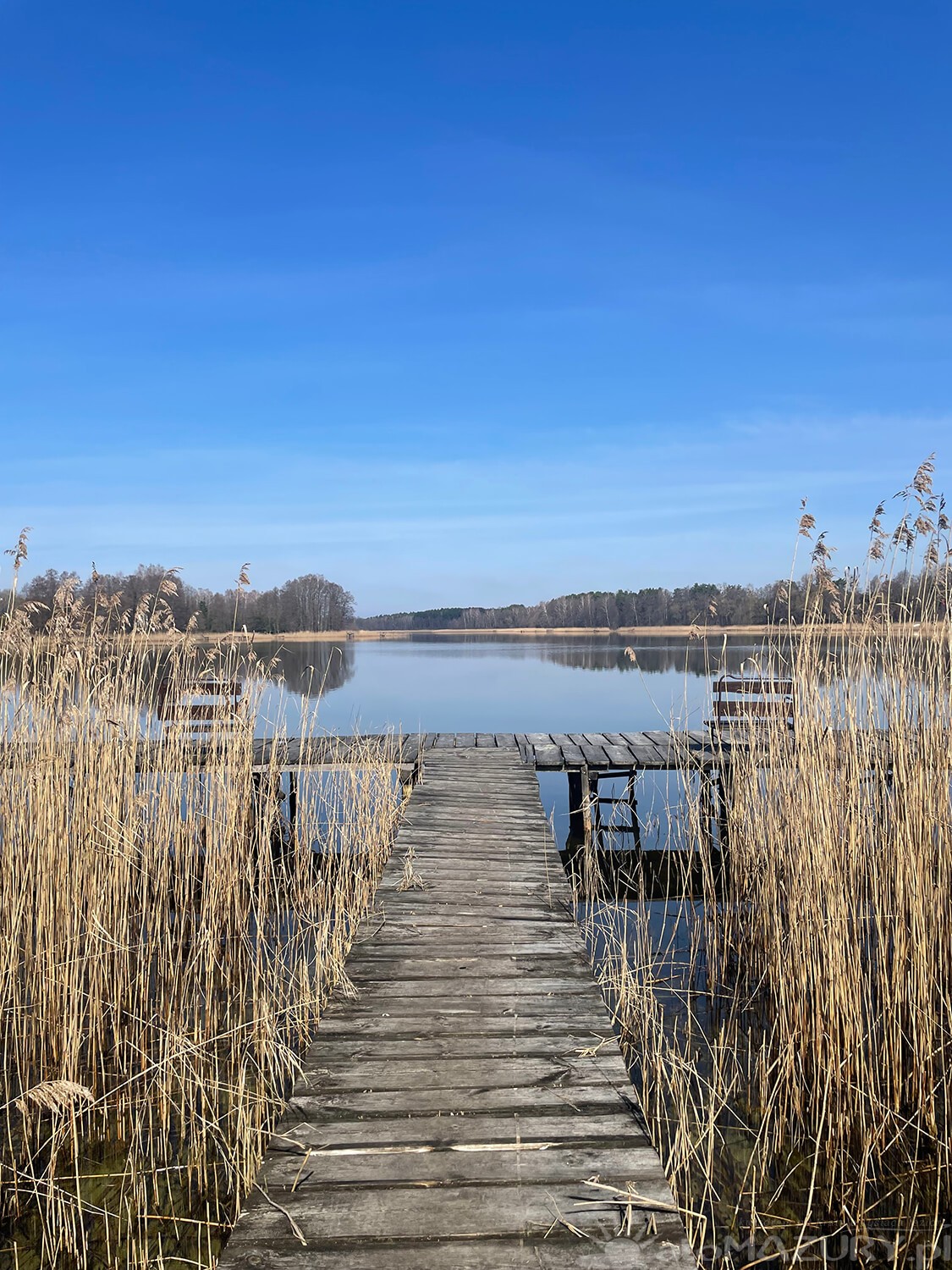 wiosna2024 atomazury 6