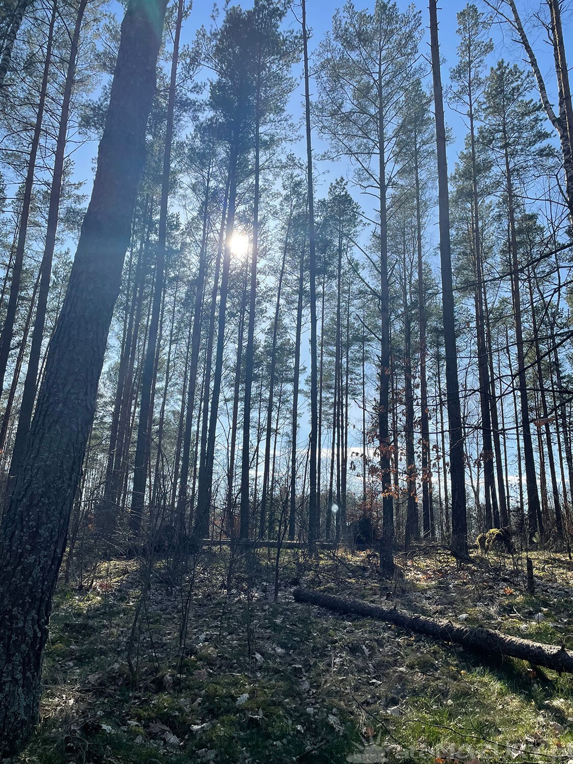 wiosna2024 atomazury 7