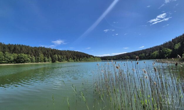 Jezioro Czerwonka Mała koło Małej Wsi
