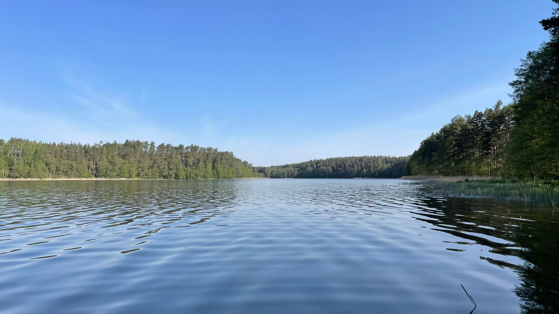 Jezioro Gant Jezioro Ganckie 1