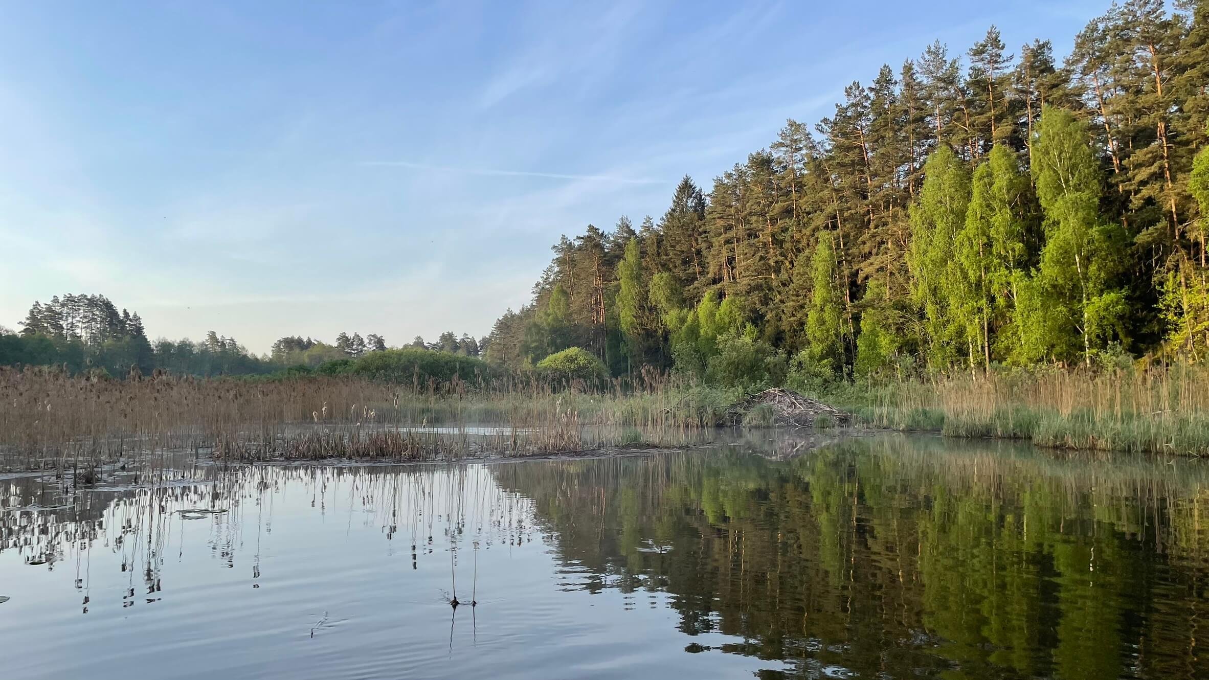 Jezioro Gant Jezioro Ganckie 11