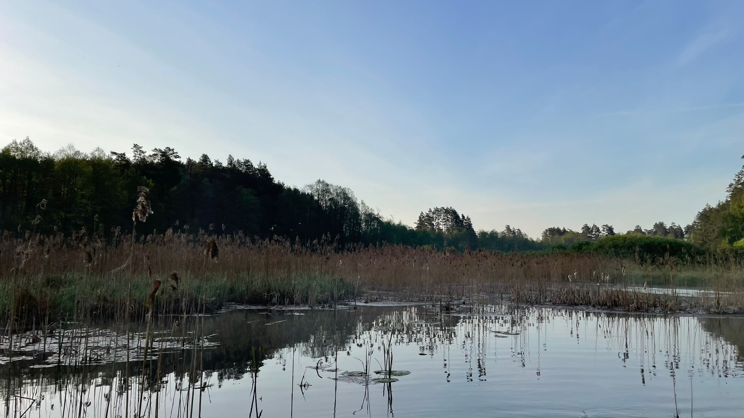 Jezioro Gant Jezioro Ganckie 12