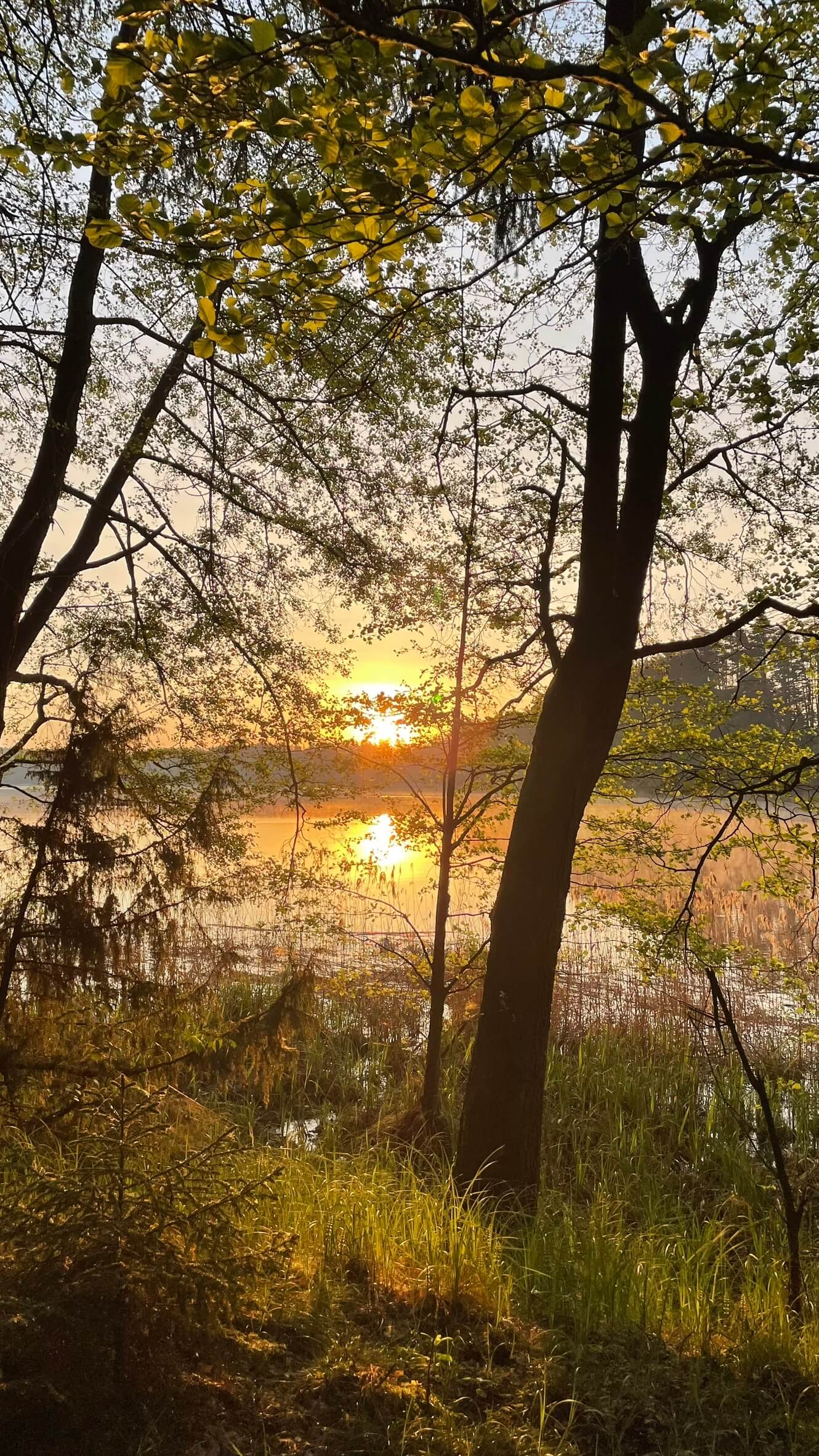 Jezioro Gant Jezioro Ganckie 2